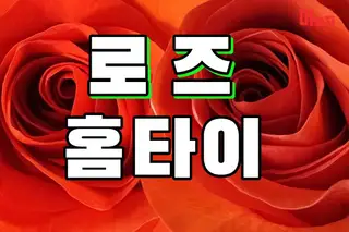 로즈홈타이 업체 안내 이미지