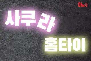 사쿠라홈타이 업체 안내 이미지