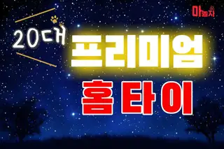20대프리미엄홈타이 업체 안내 이미지