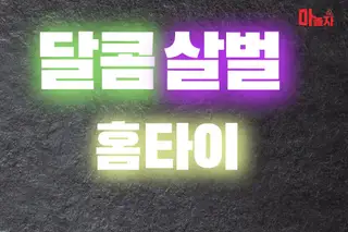 달콤살벌홈타이 업체 안내 이미지