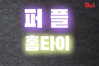 퍼플홈타이 업체 안내 이미지