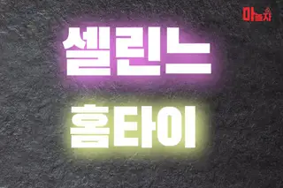 셀린느홈타이 업체 안내 이미지