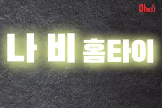 나비홈타이 업체 안내 이미지
