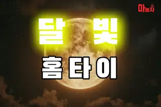 달빛홈타이 업체 안내 이미지